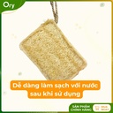 set-2-mieng-rua-bat-xo-muop-hinh-chu-nhat-size-m (6).jpg