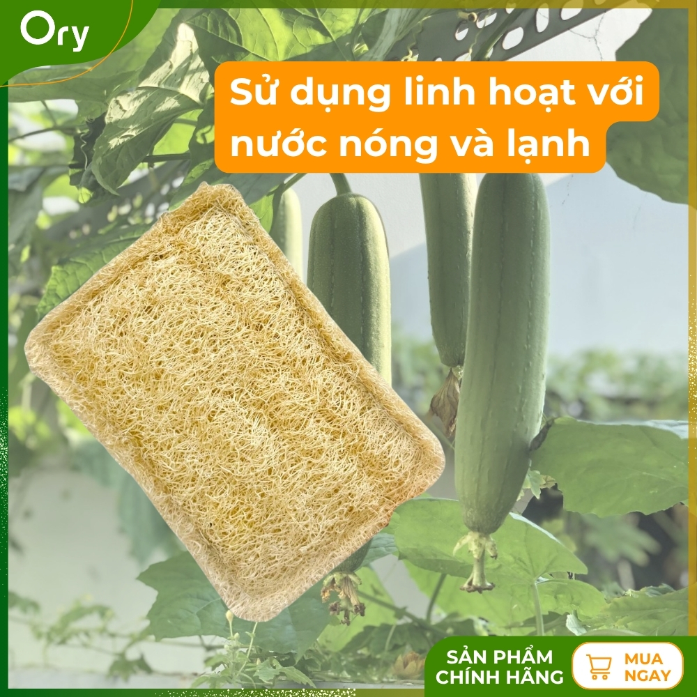 set-2-mieng-rua-bat-xo-muop-hinh-chu-nhat-size-m (7).jpg