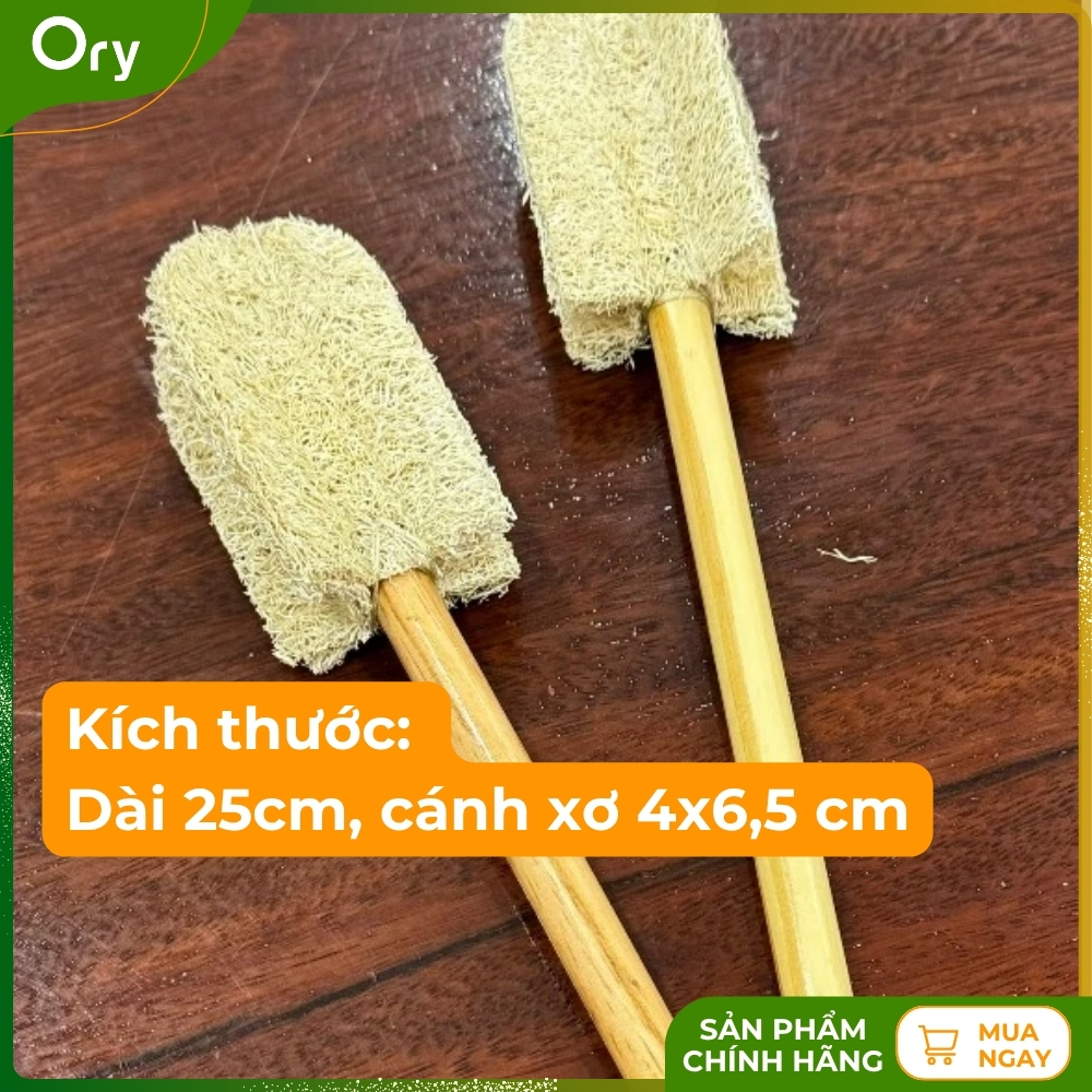 cay-rua-ly-xo-muop-bon-canh (6).jpg