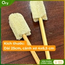 cay-rua-ly-xo-muop-bon-canh (6).jpg