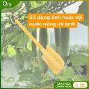 cay-rua-ly-xo-muop-bon-canh (7).jpg