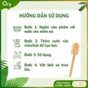 cay-rua-ly-xo-muop-bon-canh (8).jpg