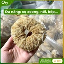 co-rua-da-nang-xo-muop-dang-bui-nhui (4).jpg