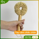 co-rua-da-nang-xơ-muop-dang-bui-nhui-can-10cm (3).jpg