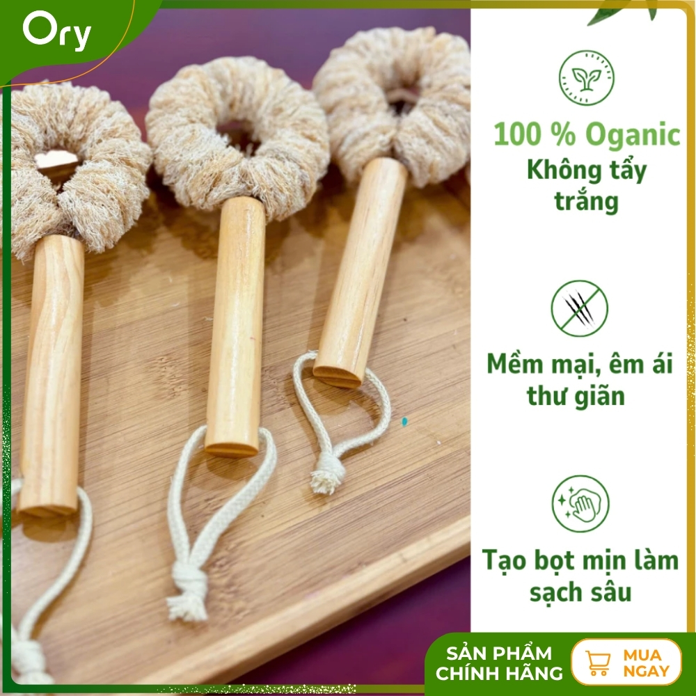 co-rua-da-nang-xơ-muop-dang-bui-nhui-can-10cm (4).jpg