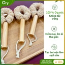 co-rua-da-nang-xơ-muop-dang-bui-nhui-can-10cm (4).jpg