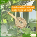 co-rua-da-nang-xơ-muop-dang-bui-nhui-can-10cm (7).jpg