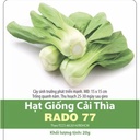 Cải Thìa Rado 77