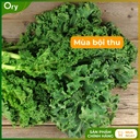 hat-giong-rau-cai-xoan-(cai-kale)-rado-686-G300005 (5).jpg