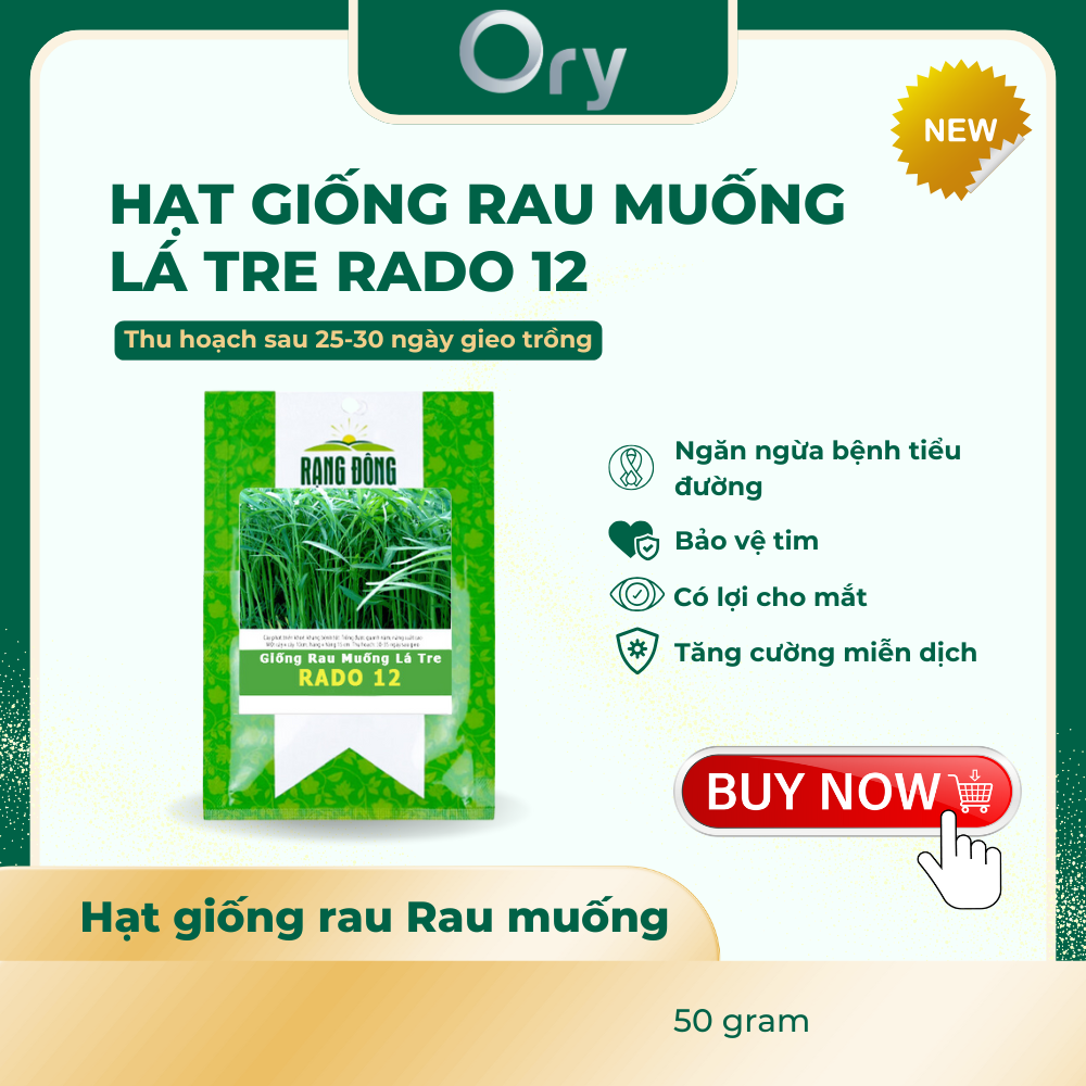 Hạt giống Rau muống lá tre Rado 12, thu hoạch sau 25-30 ngày (50 gram)