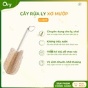 Cây Rửa Ly Xơ Mướp 4 Cánh
