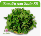 Rau dền cơm Rado 86