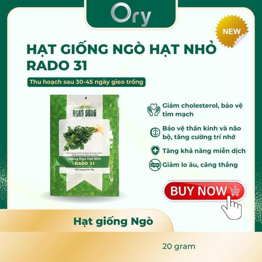 Hạt giống Ngò hạt nhỏ Rado 31, thu hoạch sau 30-45 ngày (20 gram)