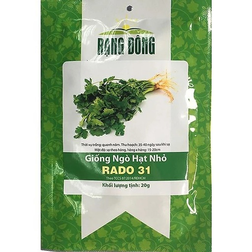 Ngò hạt nhỏ Rado 31