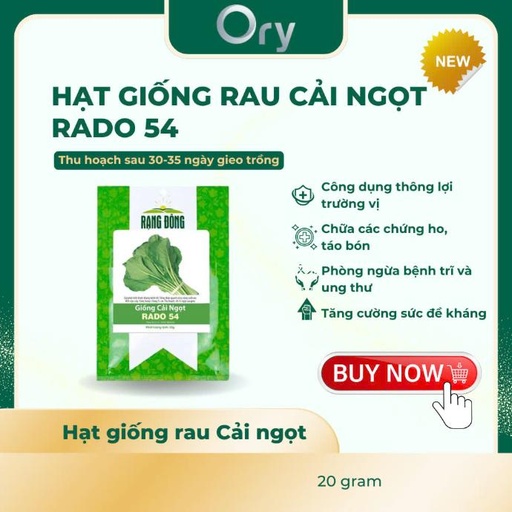 [G300007] Hạt giống Cải ngọt Rado 54, thu hoạch sau 30-35 ngày (20 gram)