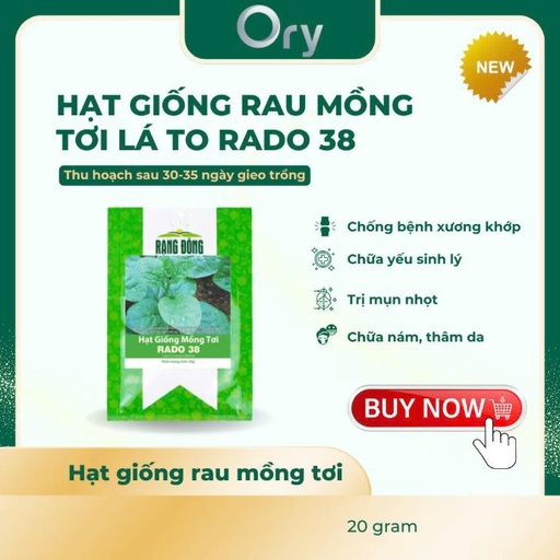 [G300011] Hạt giống Mồng tơi lá to Rado 38, thu hoạch sau 30-35 ngày (20 gram)
