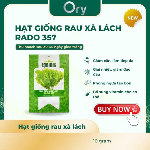 [G300019] Hạt giống Xà lách Rado 357, thu hoạch sau 30-45 ngày (10 gram)